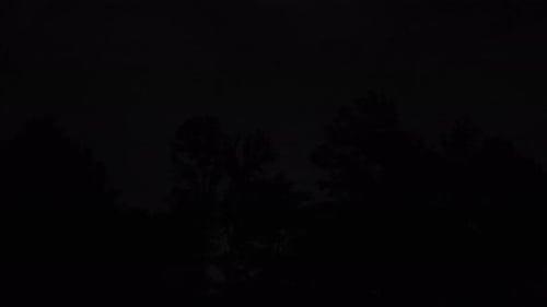 Lightning Over Trees in Boulder Colorado, Lightning Storm Lighting up the Sky in Colorado, Lightning