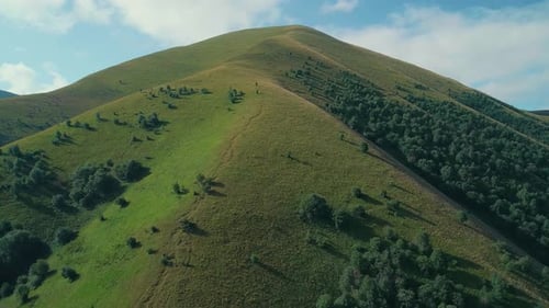 Aerial Closeup of Hills Covered with Green Grass and Trees Against Blue Sky