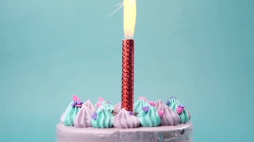Celebration Cake Sparkler Candle Festive Birthday Dessert
