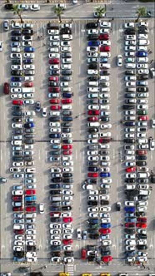 Vertical video of vehicles in the parking lot