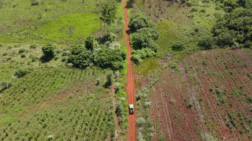 Aerial tops down rural vehicle driving at countryside dirt road, sunny day landscape around green ag