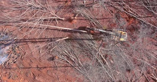 Uprooting Trees and Preparing the Land for Construction Requires the Use of a Tractor
