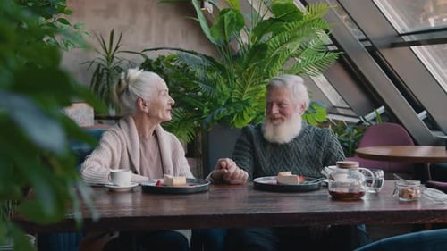 Elderly Caucasian Couple Talking and Holding Hands during Date in Cafe