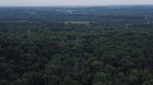 flying over a hazy forest