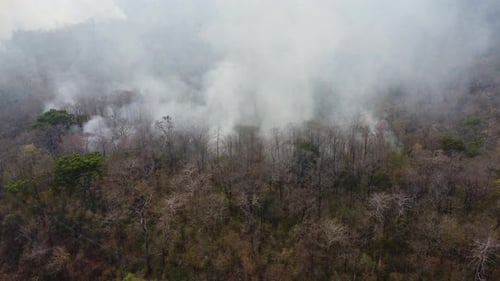 Aerial drone view of a wildfire burning through a forest area, fills the sky with dark smoke