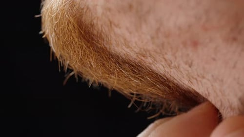 A Man Scratching His Red Beard with His Hand. Close-Up on a Black Background.