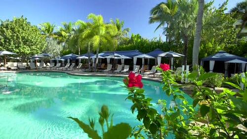 Resort Pool with Lounge Chairs and Umbrellas Aerial