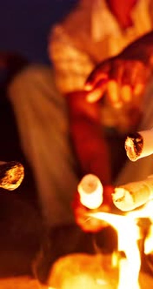Group, people and campfire with marshmallows at night for camping, cooking dessert
