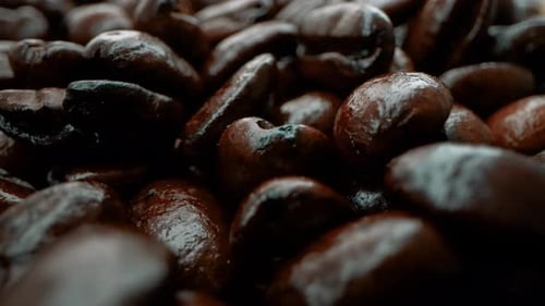 Close-Up of Shiny Roasted Coffee Beans