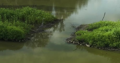 Heron Fly On Swamps In Spile Lake, Missouri, United States. Slow Motion