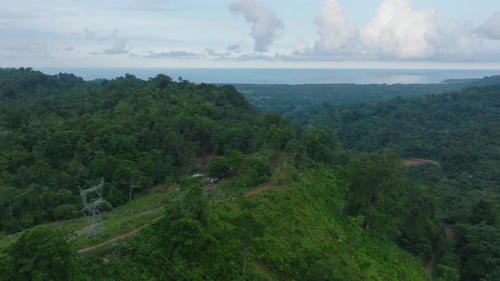 Aerial View of Lush Rainforest with Dense Foliage Thriving Ecosystem and Peaceful Surroundings