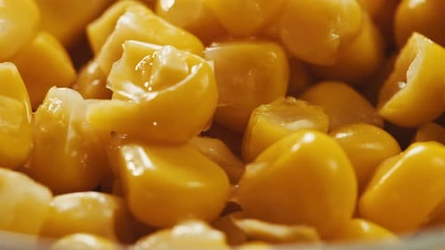 Macro Close Up of Bright Yellow Corn Kernels