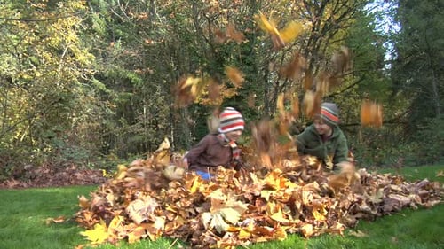 Children enjoying autumn fun throwing leaves in the backyard