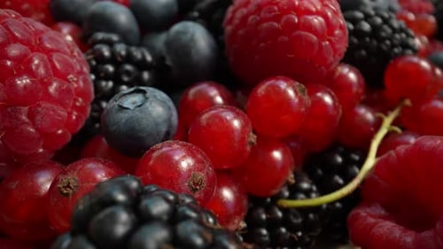 Fresh Berries in Close-Up