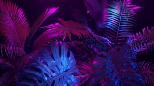 Purple and Blue Neon Lights in a Dark Jungle with Tropic Plants Loop Animation