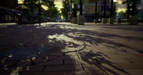 Evening Stroll in a Sunlit Plaza with Enchanting Shadows