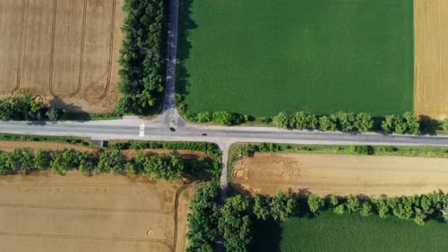 Automobile Asphalt Road with Cars Driving Along It Between Agricultural Fields