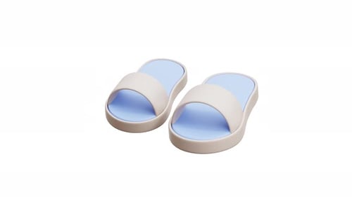 3D Animation Of Hotel Slippers