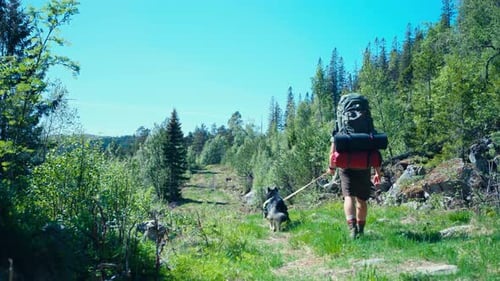 Hiker With Backpack And Dog Over Sunny Tracks In The Mountain Hike. Static Shot
