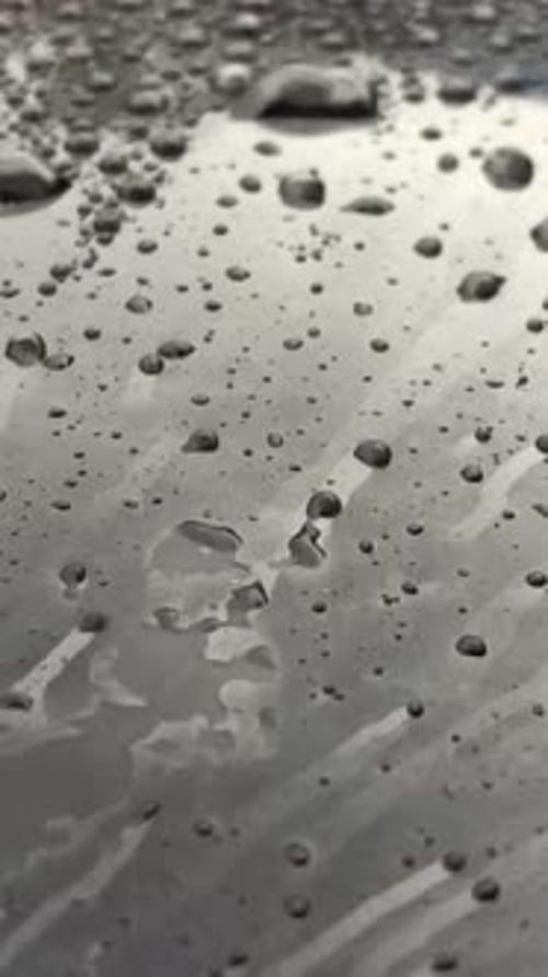 Raindrops Resting Elegantly on a Beautifully Reflective Surface Creating Striking Visuals