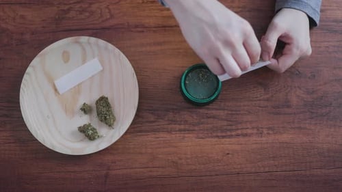 Top view woman hands rolling CBD cannabis weed joint - Alternative treatment for anxiety