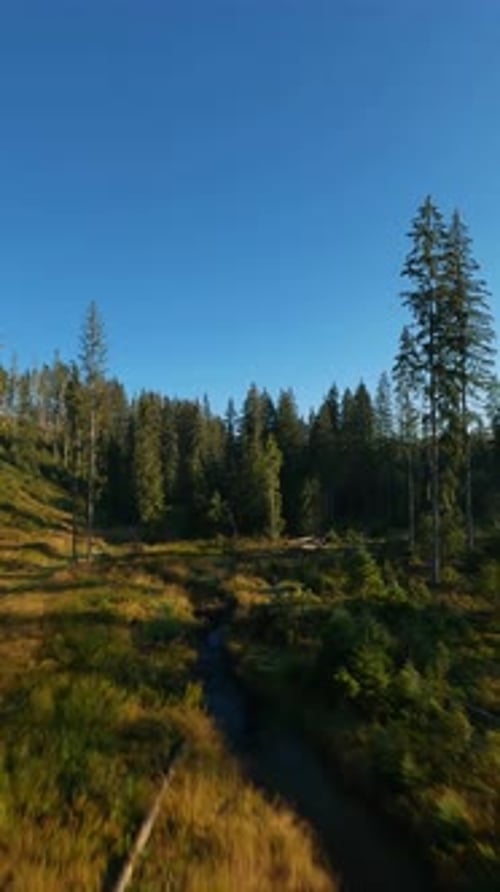 Vertical Video Fast Flight Over an Autumn Mountain Landscape Stream Trees