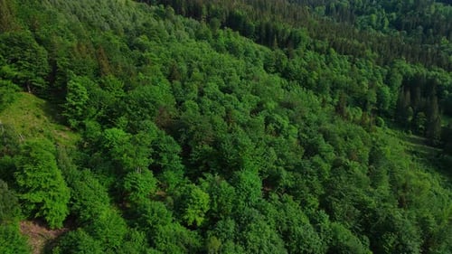 Voo aéreo sobre montanhas cobertas por florestas densas e paisagem natural
