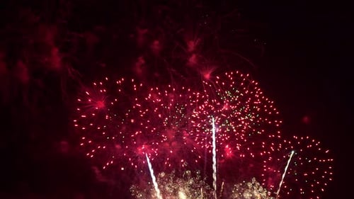 Explosive Fireworks Display Filling the Night Sky