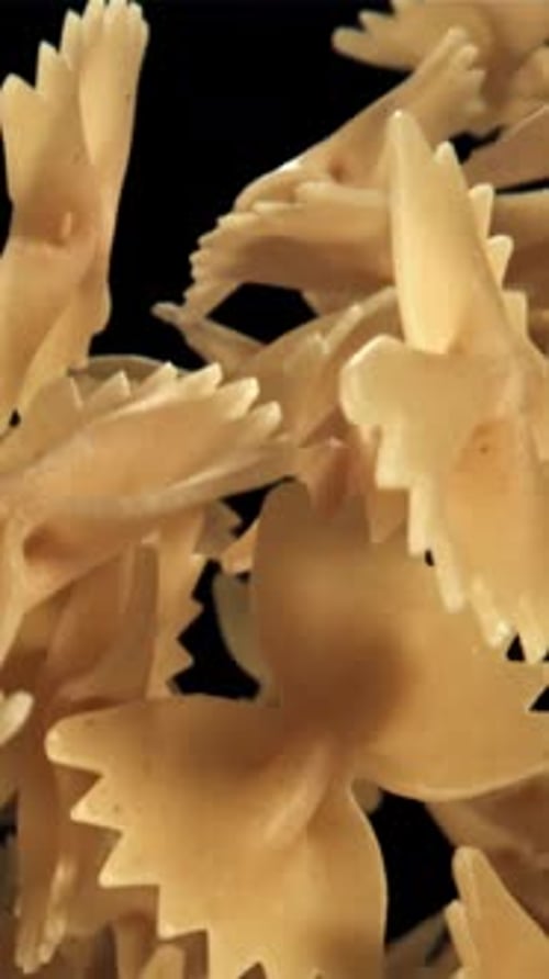 Farfale Pasta Flies in and Falls Filmed on a Highspeed Camera at 1000 Fps
