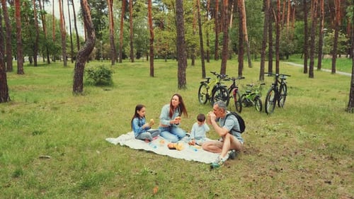 Family Picnic in Forest