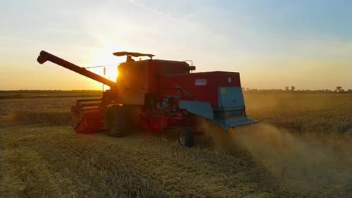 Vintage Harvester Machine for Harvesting Wheat Agricultural Field Working on Golden Ripe Farmland