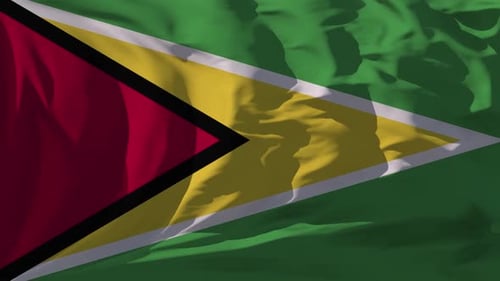 Guyana Flag Loop