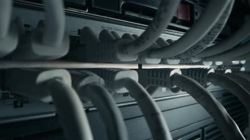 Close-up Macro Shot Ethernet Cables Connected to Router Ports with Blinking Lights. Telecommunicati