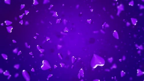 Purple Valentines Day Heart Background Loop