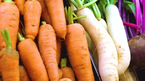 Fresh Vegetables on the Shelf in a Supermarket