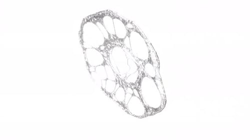 Mercury Aluminum Silver Metal Splash on White Bg Rotate Endless