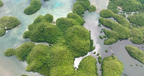 Tropical Bay and Islands Philippines