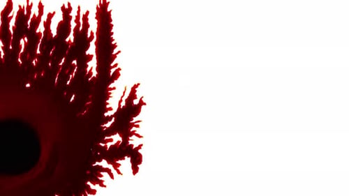 L'encre tombe et s'étale sur une surface blanche 11