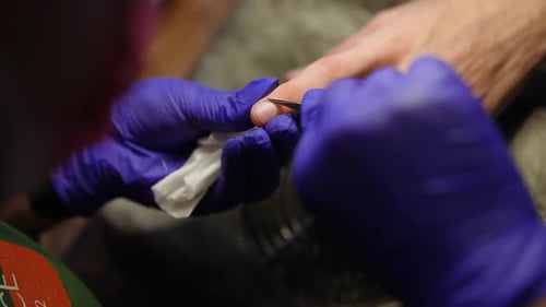 Closeup Top View Cutting Cuticle on Male Finger in Slow Motion Indoors Closeup Unrecognizable Female
