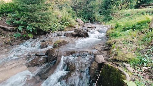 Wasserfallbach fließt schnell im grünen Bergwald
