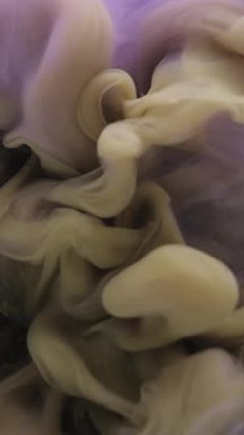Vertical Fluid Explosion Puff Paint Vapor Stream