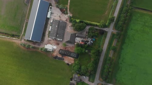 Vue aérienne d'une ferme tranquille avec des vaches au pâturage, Pays-Bas.