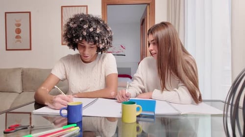 Two Friends Working Together at Home