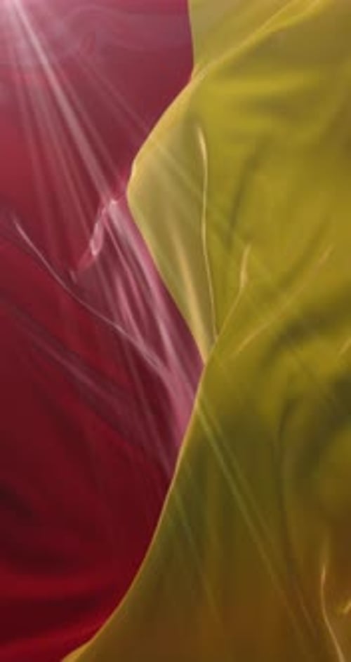 Warschauer Flagge