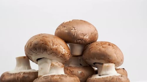 Close Up of Fresh Mushrooms in Studio Setting