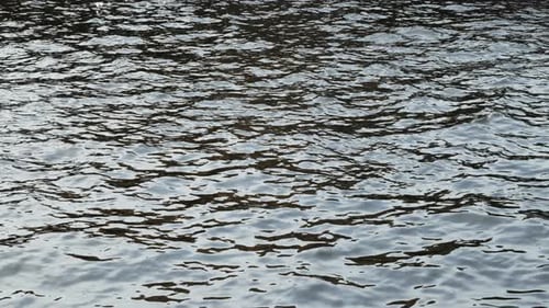 water surface, waves and ripples in the water, background