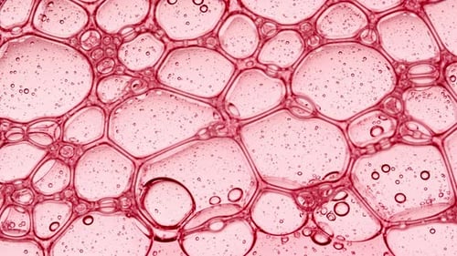 Bubble Cluster Cells Under a Microscope Transparent Cosmetic Gel Fluid with Molecule Bubbles Oil