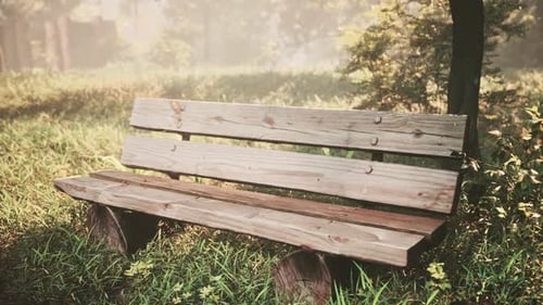 Beautiful Bench in the Park at Spring Sunny Day