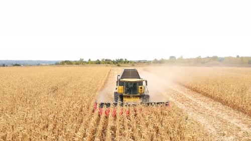 Aerial Shot of Harvester Gathering Corn Crop in Farmland