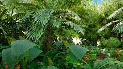 Tropical Forest Reveal with Alpha Channel Ending
